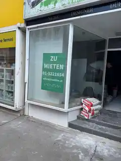 Anischt