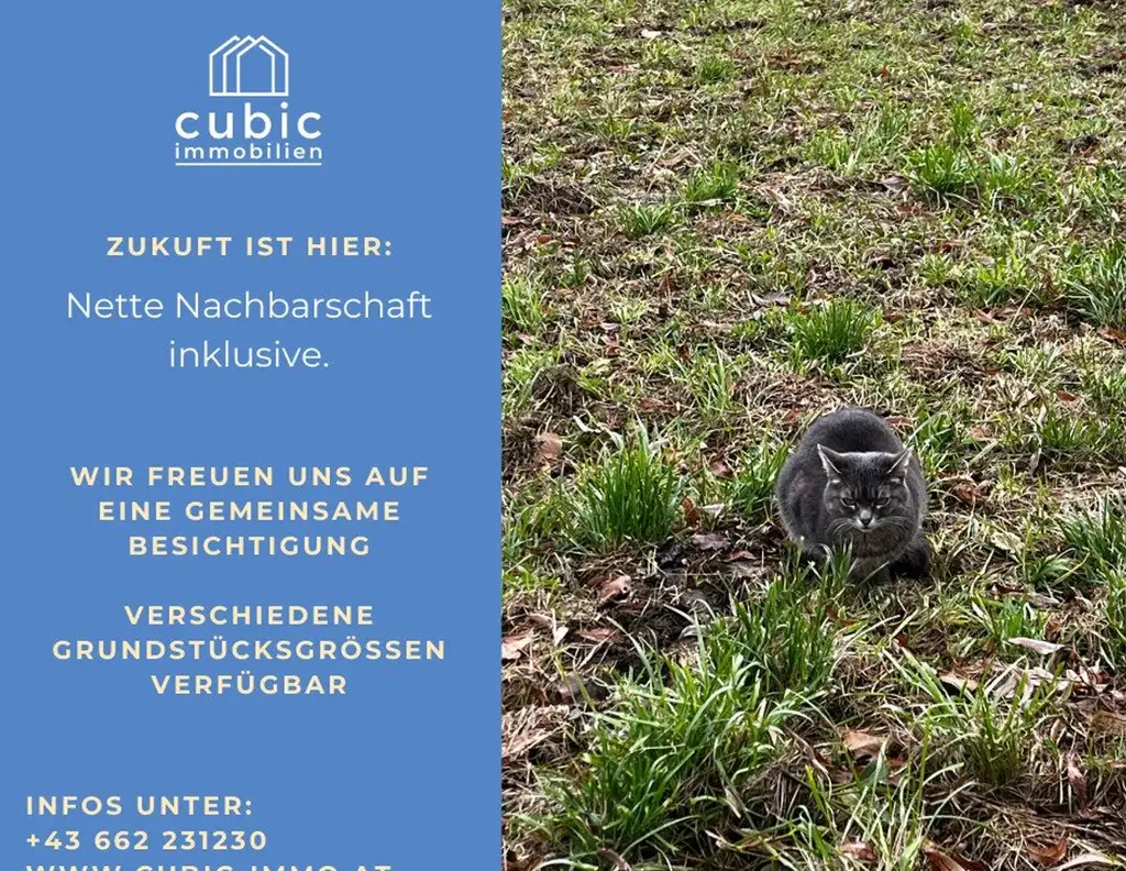 Baugrundstücke in St. Pantaleon, sehr schön gelegen