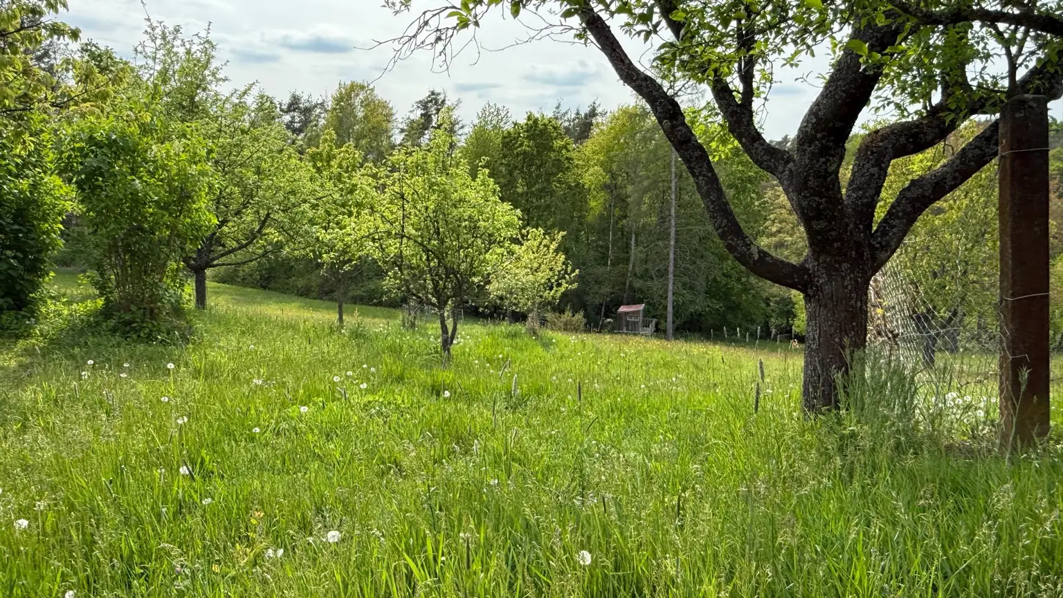 Traumgarten