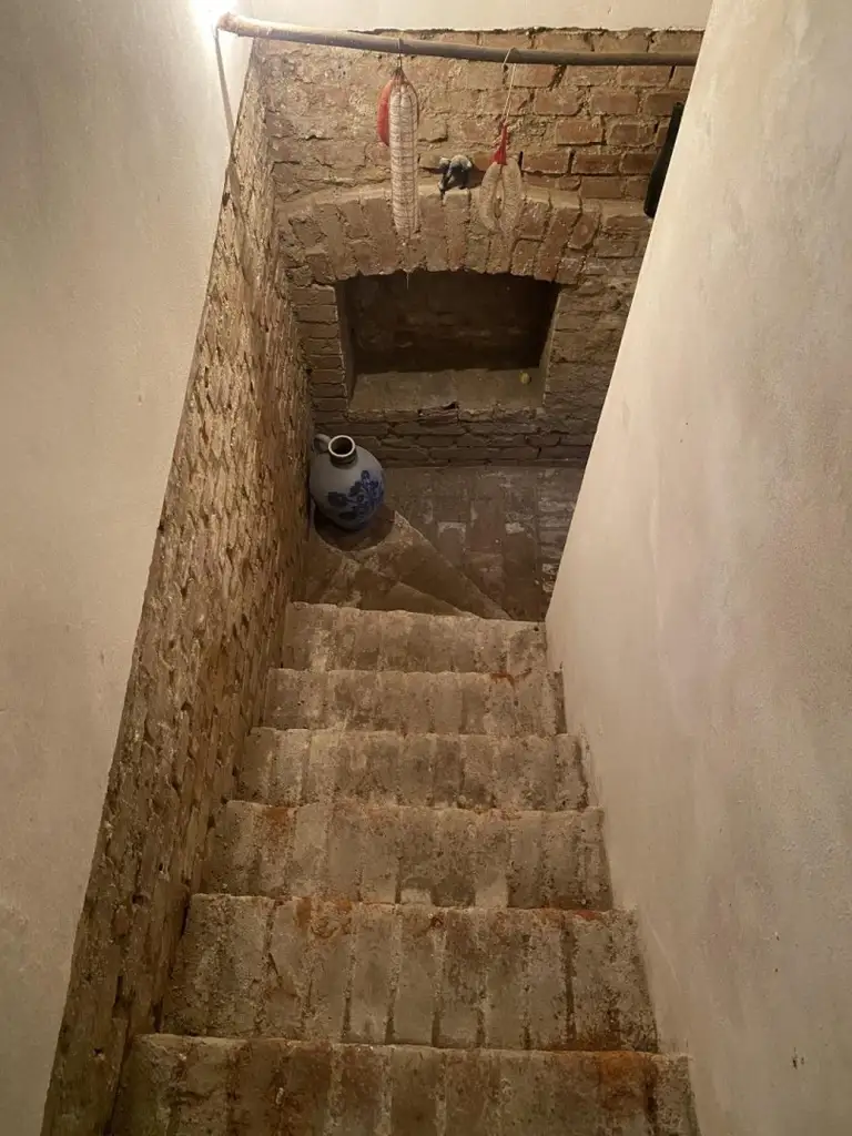 "Jahrhundertwende Stilhaus mit Wald"