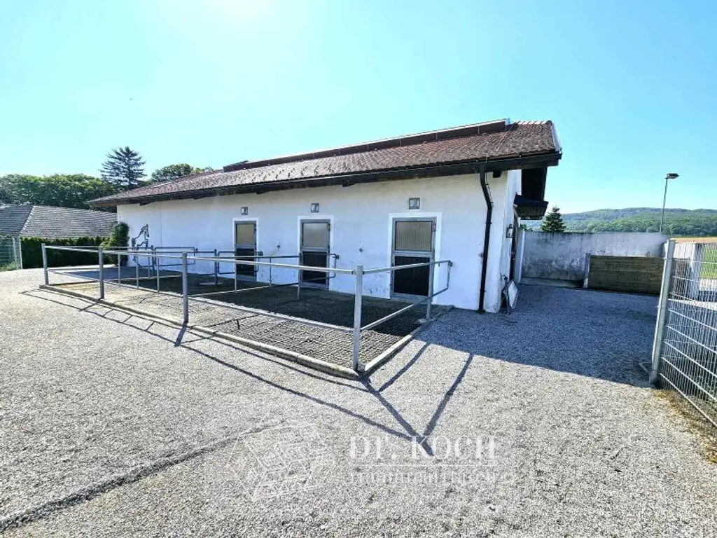 Traumhafter Landsitz im Villenstil mit Pferdeställen!