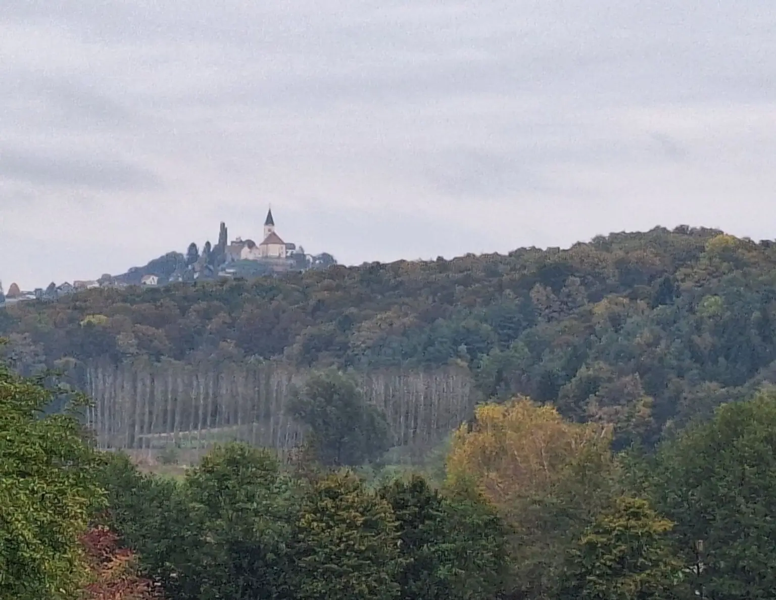 Touristisch ausgewiesenes Betriebsbauland in Waltra, St. Anna am Aigen Südoststeiermark - 110.456m² zum Kauf !
