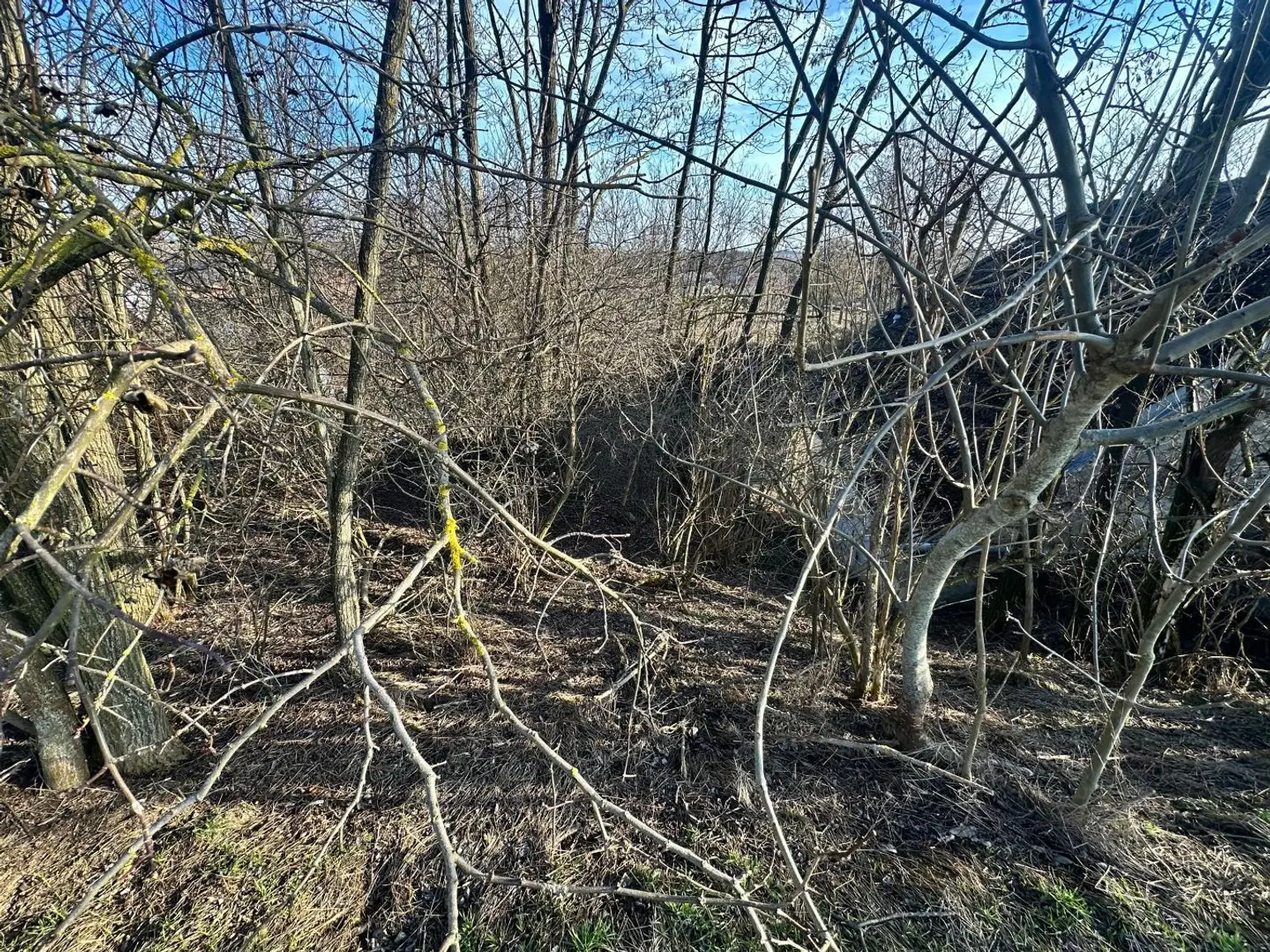 Grünfläche