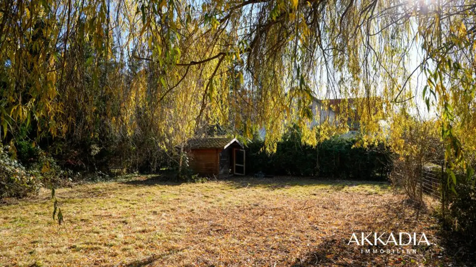 Moderner Bungalow in absoluter Ruhelage – Neulengbach