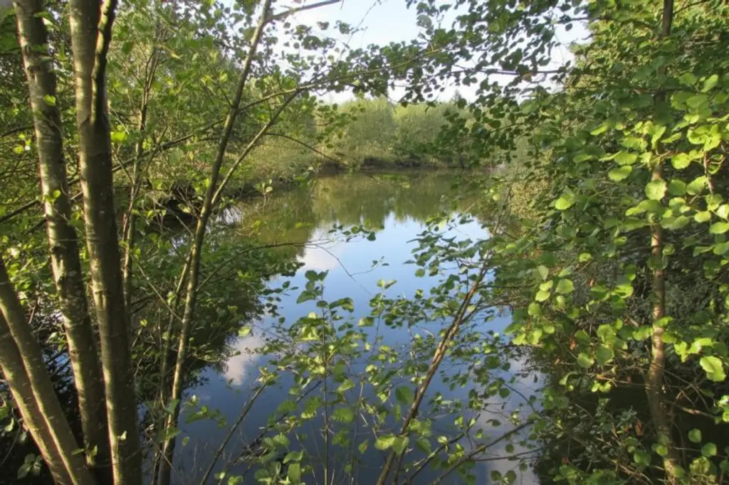 *****Fischteiche im nördlichen Waldviertel*****
