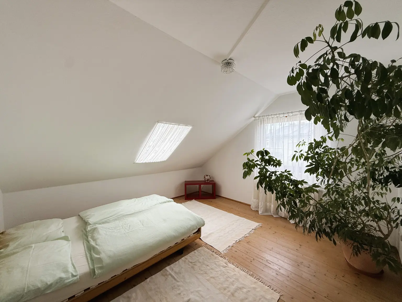 Zimmer OG