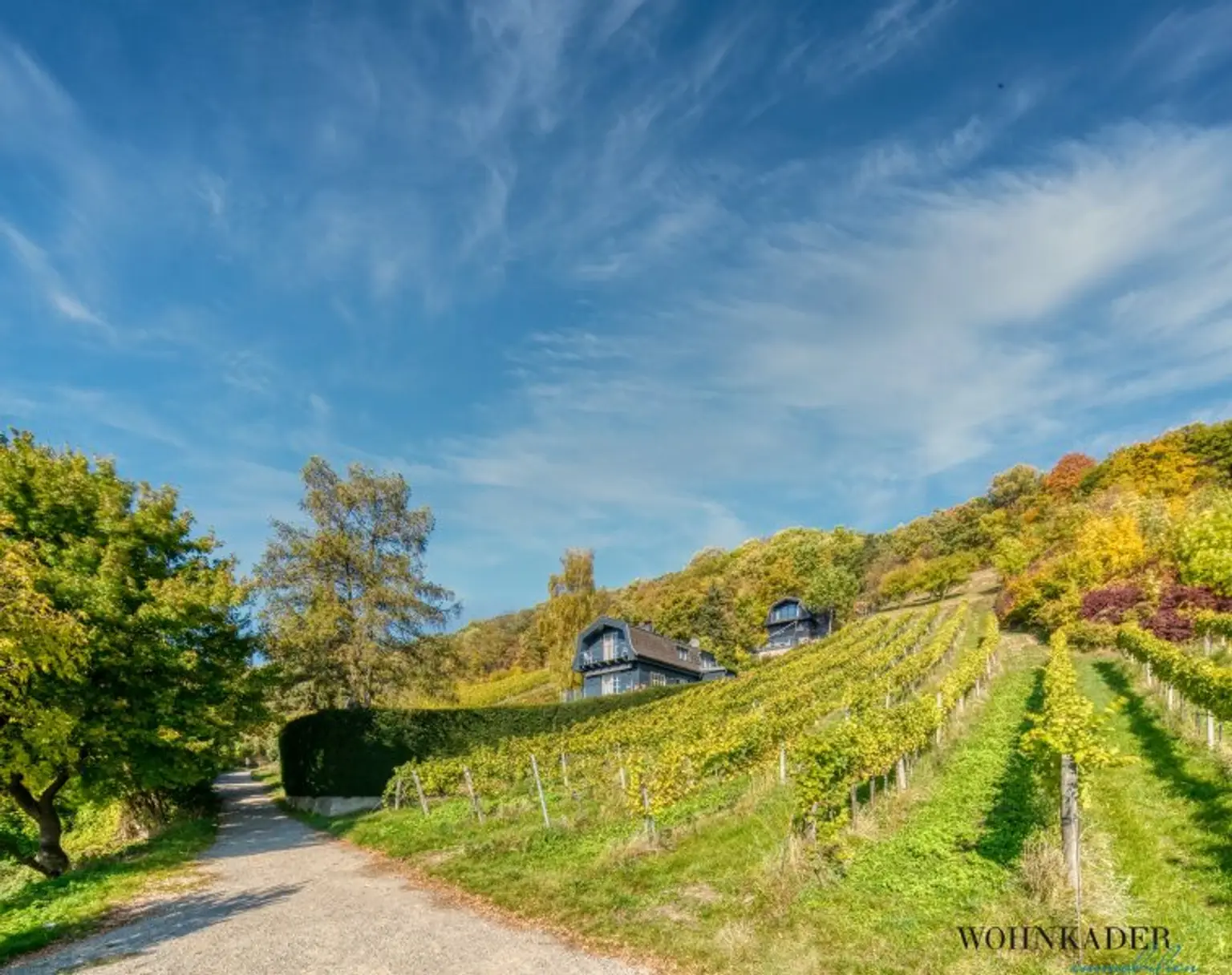 Exklusives Traumhaus zur Miete mit Panoramablick auf die Weinberge