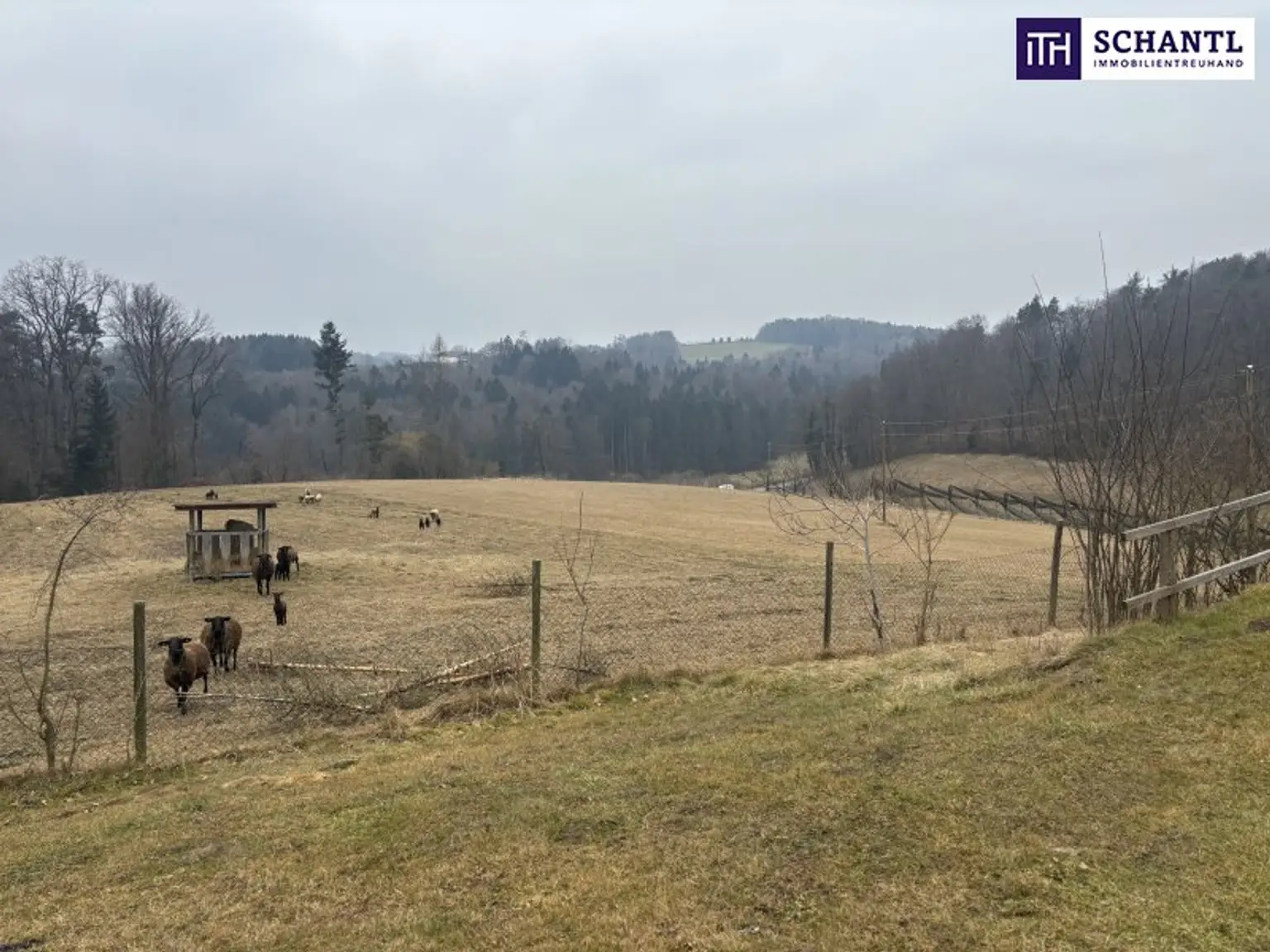 ++ SELTENE GELEGENHEIT ++ GENIAL für PFERDEHALTUNG ++ BAUERNHOF mit ca. 7 HA Landwirtschaftlicher Fläche und Wald ++ NEBENGEBÄUDE++ NÄHE GRAZ++