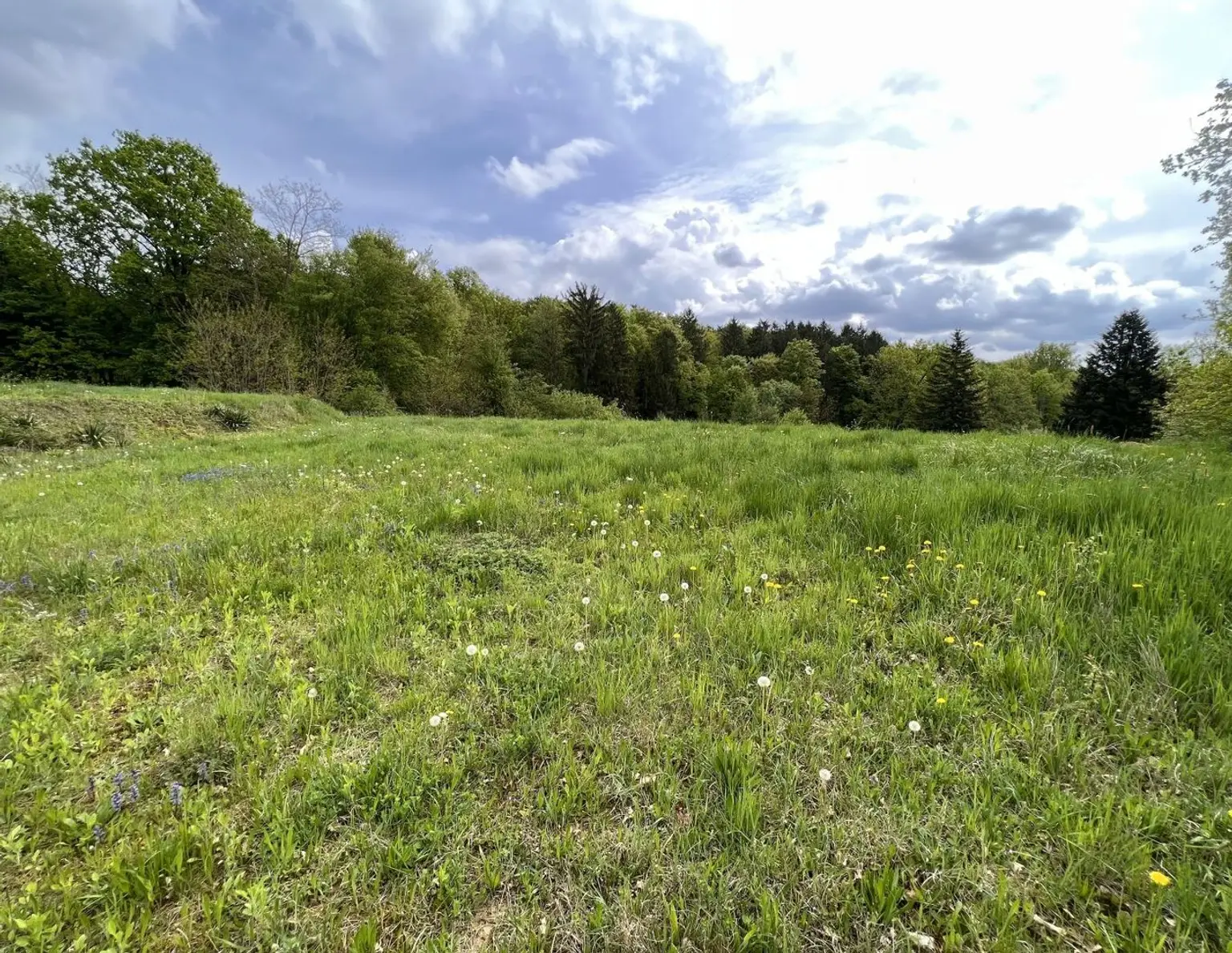 Baugrundstück in Sinabelkirchen - Ruhig, sonnig & zentrumsnah