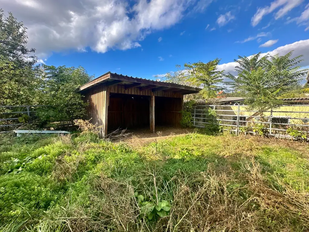 Reiterparadies im Weinviertel – Ihr Traum vom Landleben!
