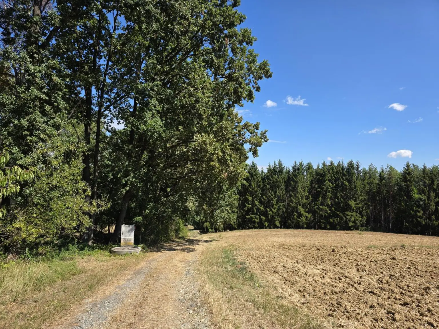 Umgebungsansicht