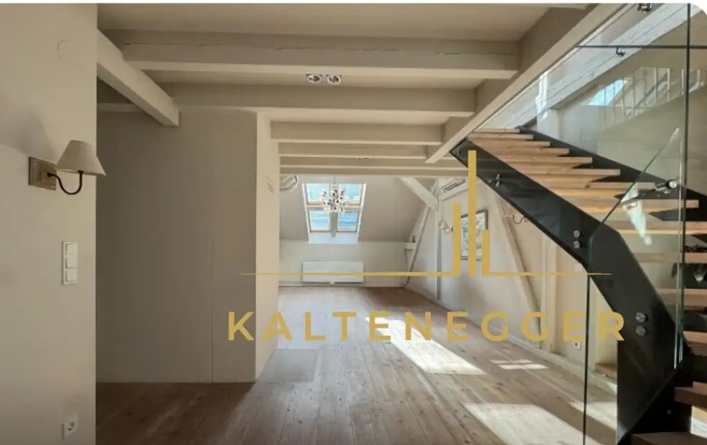 Exklusive Dachterrassenwohnung beim Museumsquartier