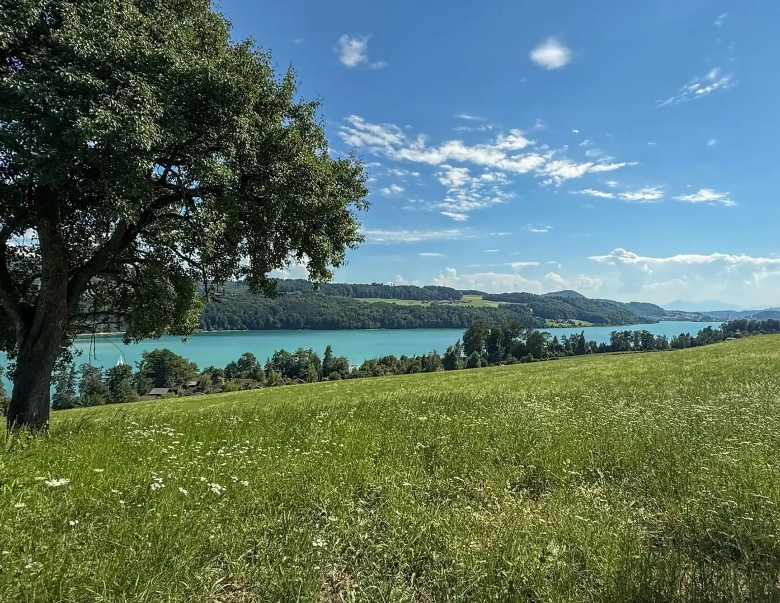 MATTSEE.SOMMERfreude | Badeplatz-Seegrundstück