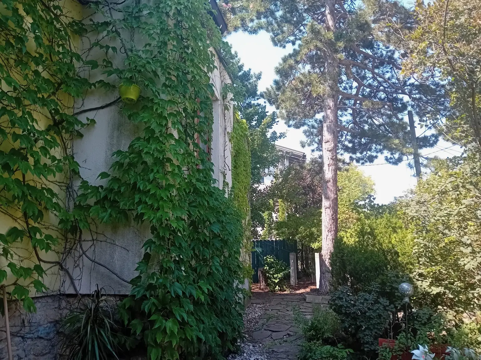 Natur pur , tolles Haus