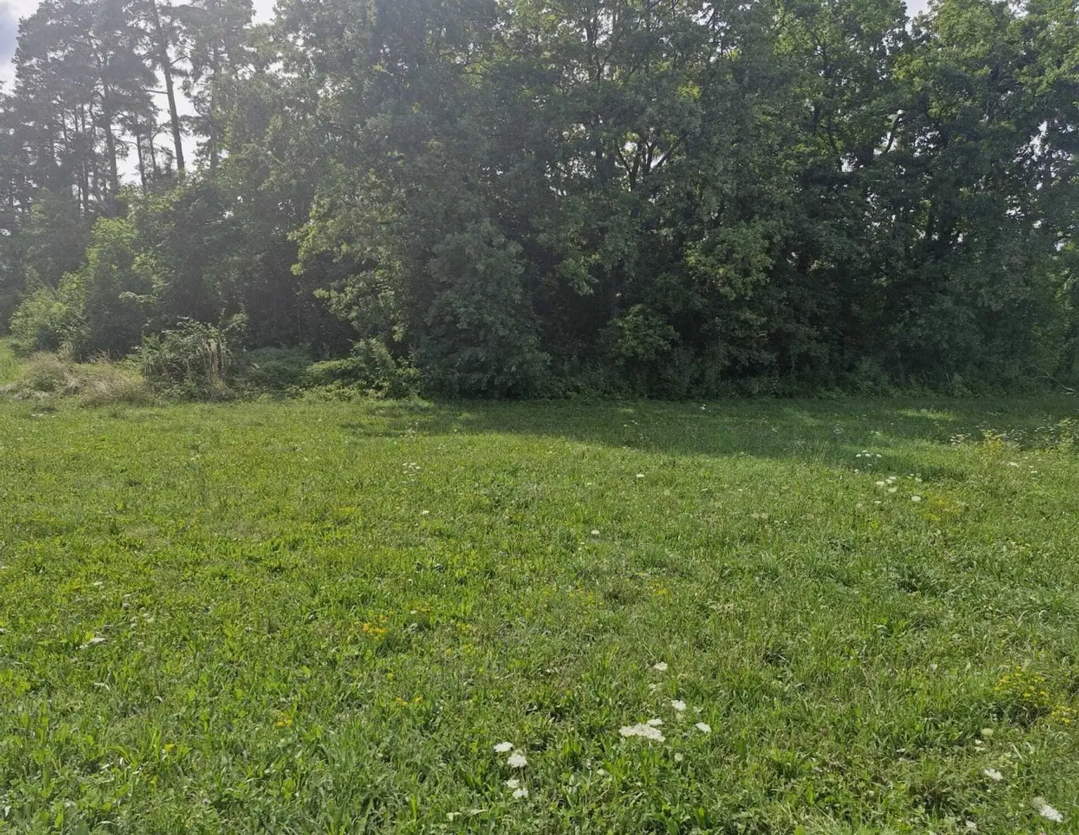 Traumhaftes Baugrundstück mit 3150 m² im Unterkärntner Seengebiet, Bergblick!