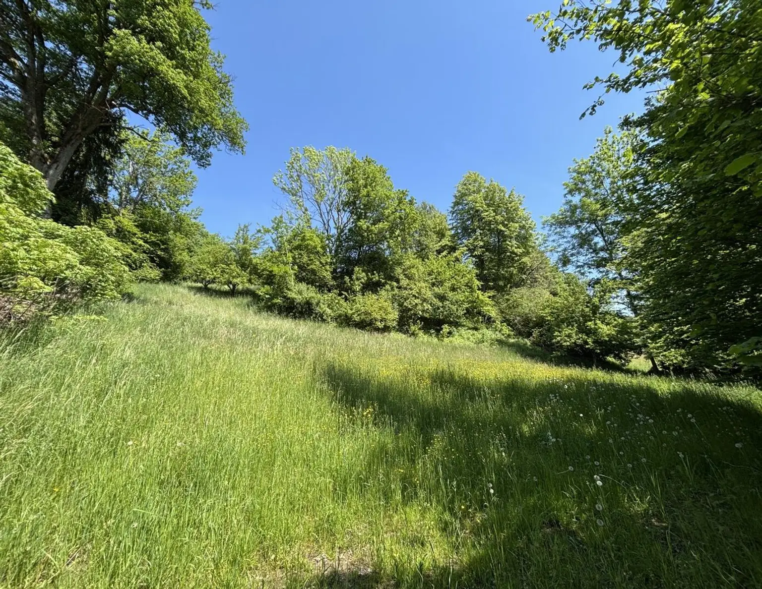 Traumhaftes Grundstück mit Blick in die Karawanken