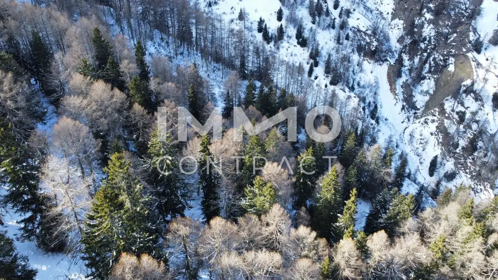 Waldparzellen am Fuße des Großglockners