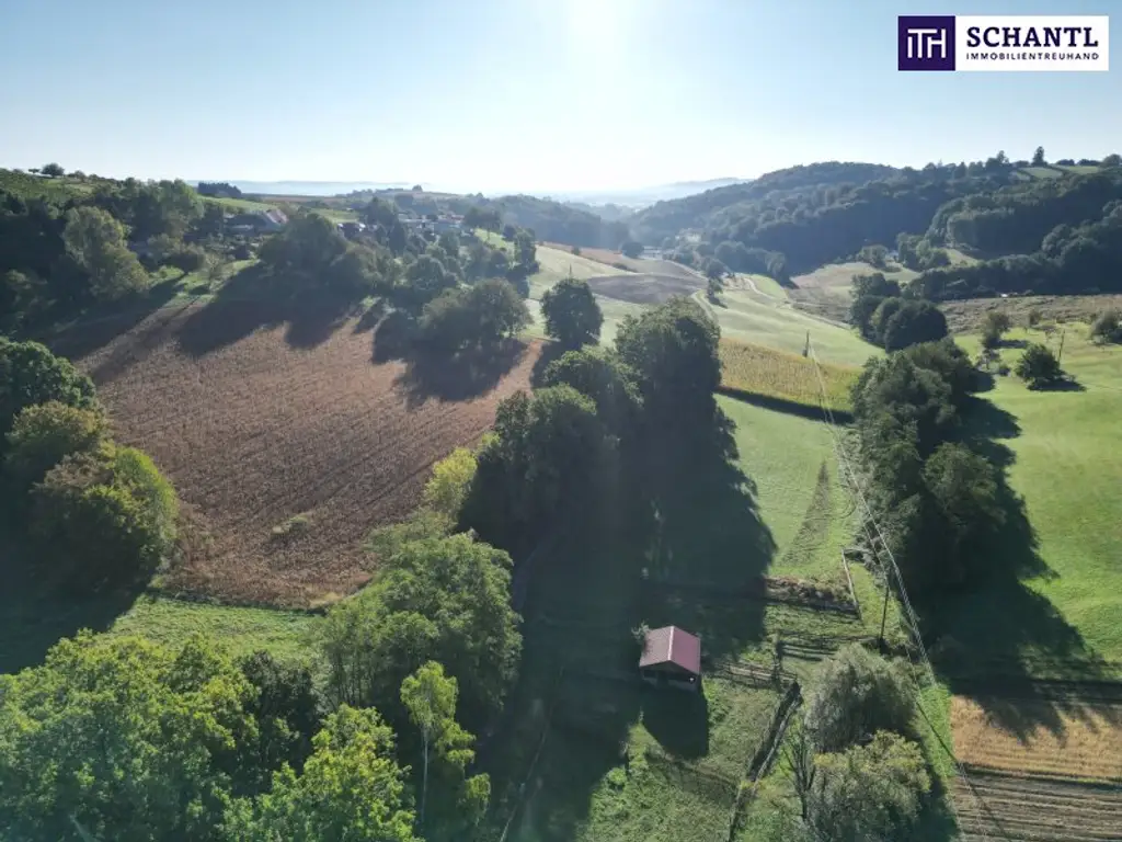 SENSATIONELLES JUWEL! Exklusiver Vierkanthof im Thermenland Steiermark – Wohnen, Reiten & Leben mit Pool und Natur!