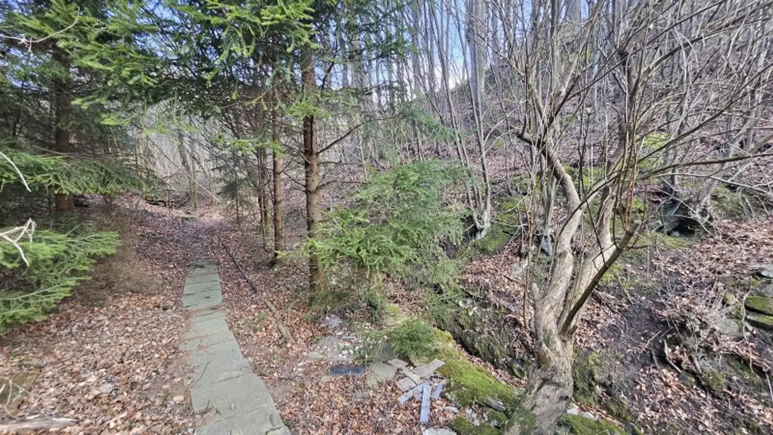 Ein/Zweifamilienhaus * teilweise renoviert * direkt am Wald gelegen * Ruhelage