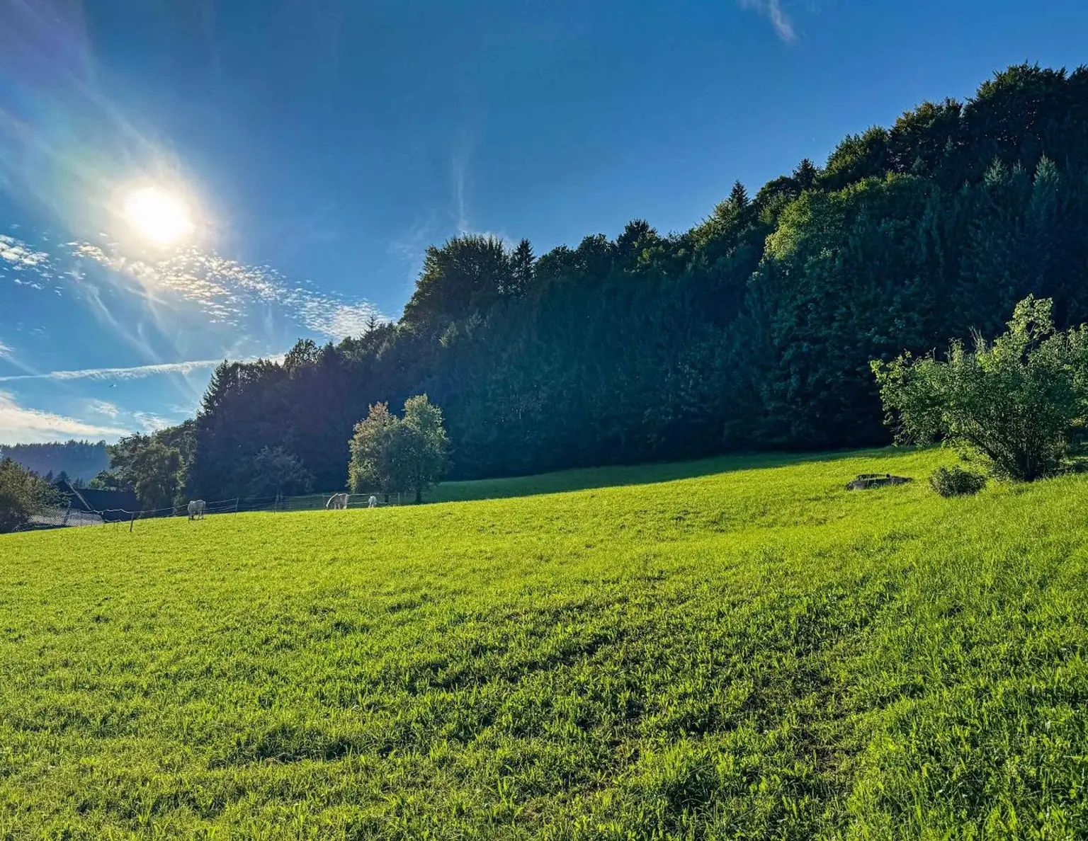 HERBSTANGEBOT im schönen Almtal! KEIN BAUZWANG !