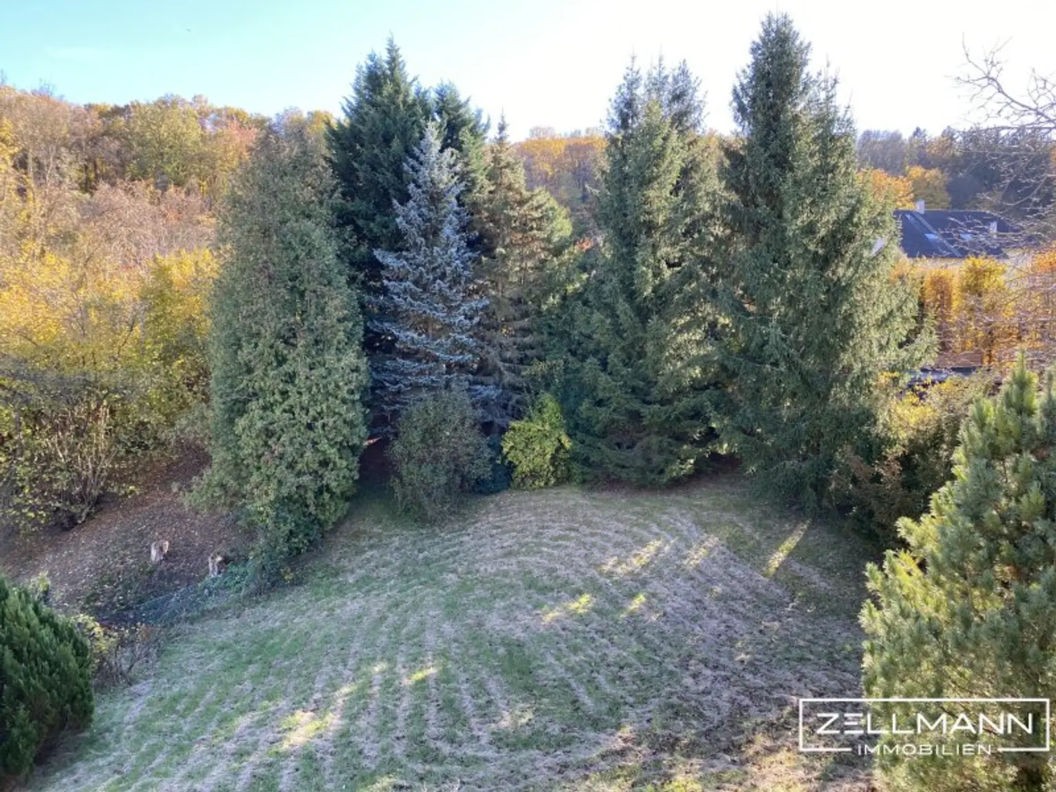 Ein Ort mit Perspektive – Sonniges Grundstück mit entkerntem Bestandsgebäude in Breitenfurt | ZELLMANN IMMOBILIEN