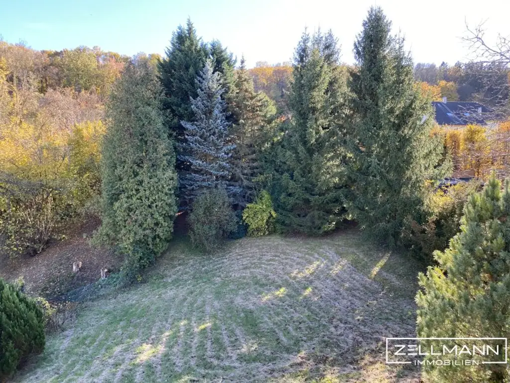 Ein Ort mit Perspektive – Sonniges Grundstück mit entkerntem Bestandsgebäude in Breitenfurt | ZELLMANN IMMOBILIEN