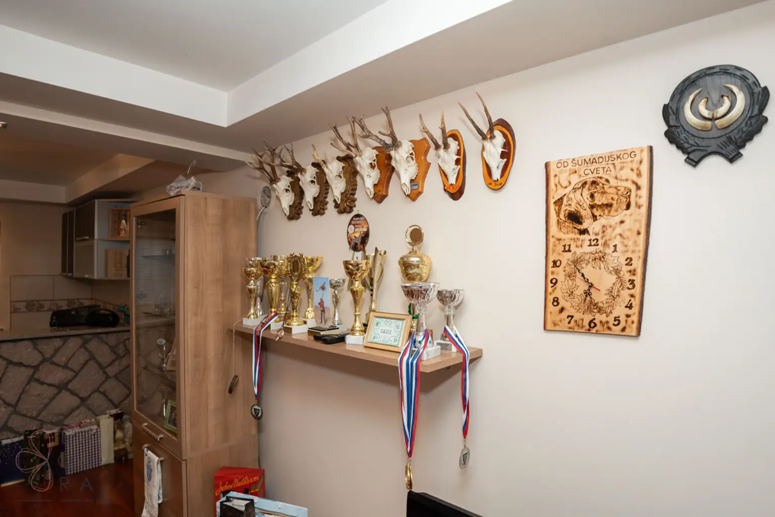 Elegantes Familienhaus nahe Belgrad – Ruhe, Komfort & Investition