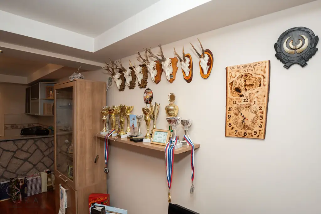 Elegantes Familienhaus nahe Belgrad – Ruhe, Komfort & Investition