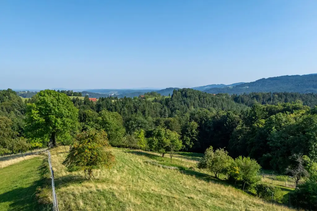 Landhaus mit Scheibengrundstück 23 Minuten vor Graz!