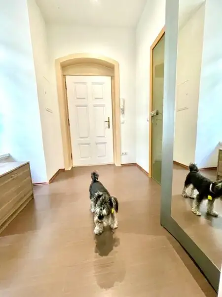 WOHNEN im 7-ten HIMMEL - INNENSTÄDTISCHE EIGENTUMSWOHNUNG- ELEGANTE Klassische Wiener-Altbau-Wohnung mit 2-Zimmern in Top Lage am SPITTELBERG - DURCHHAUS!