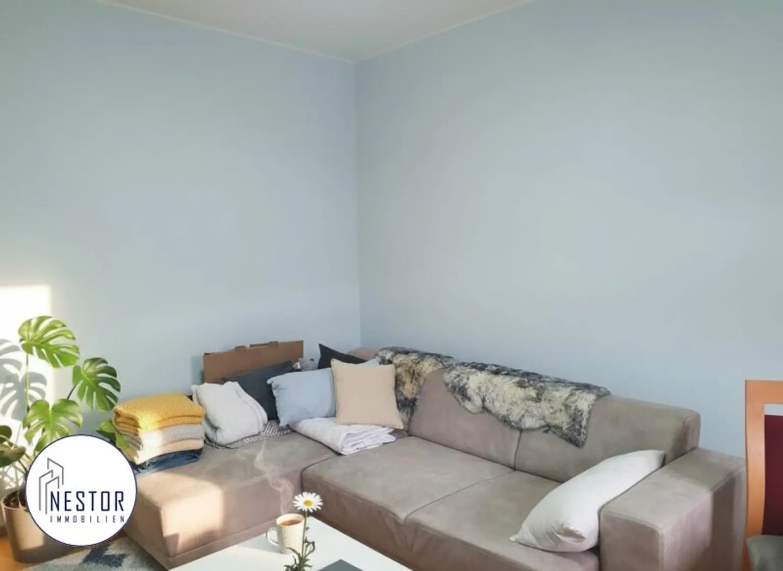 Wohnung - NESTOR Immobilien