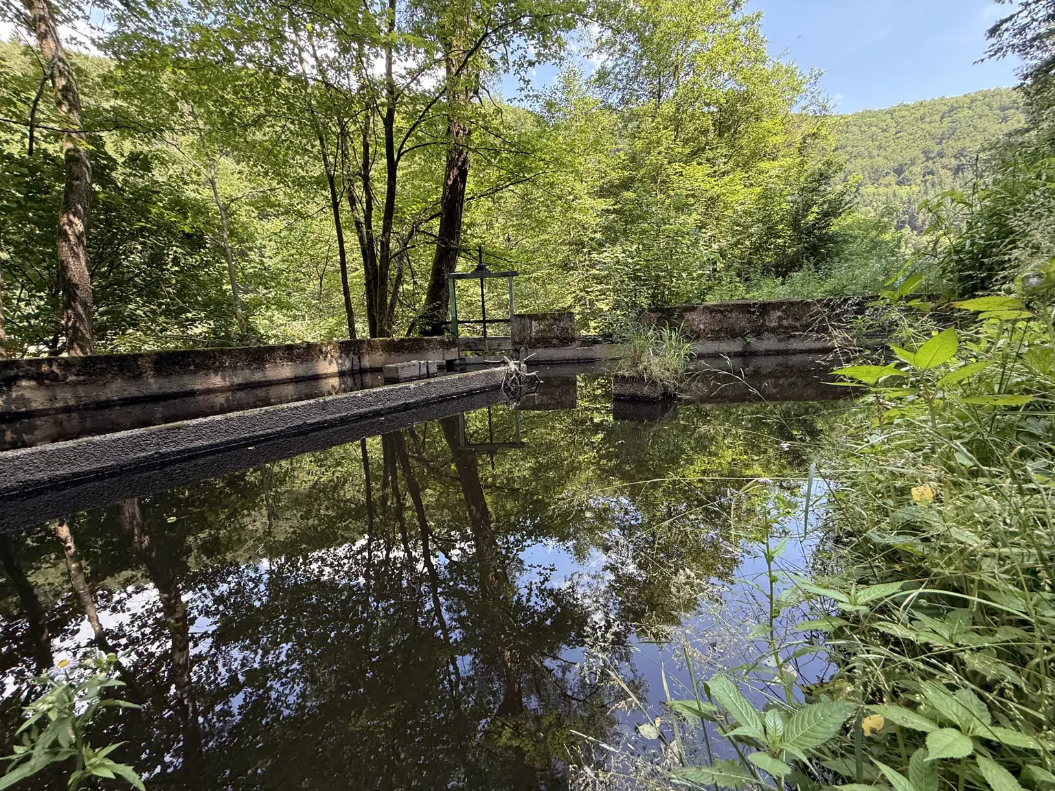 Fischbecken am Norden der Liegenschaft