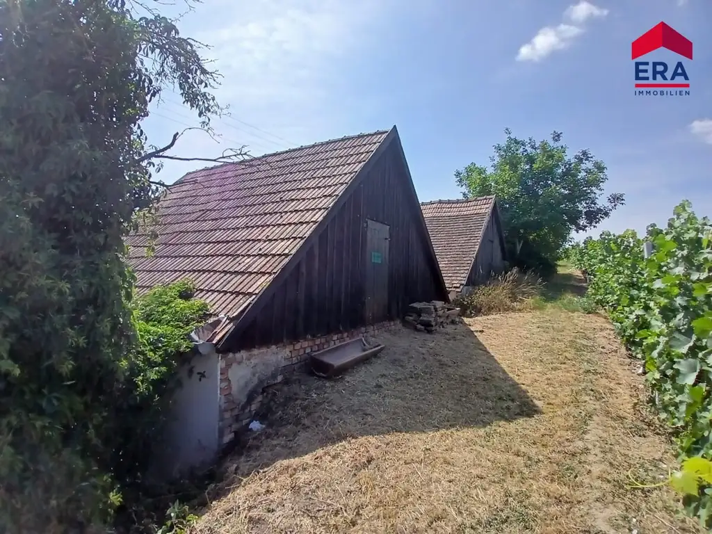 Traditionelles Presshaus mit Kellerröhre in Ketzelsdorf nahe der Weinstadt Poysdorf