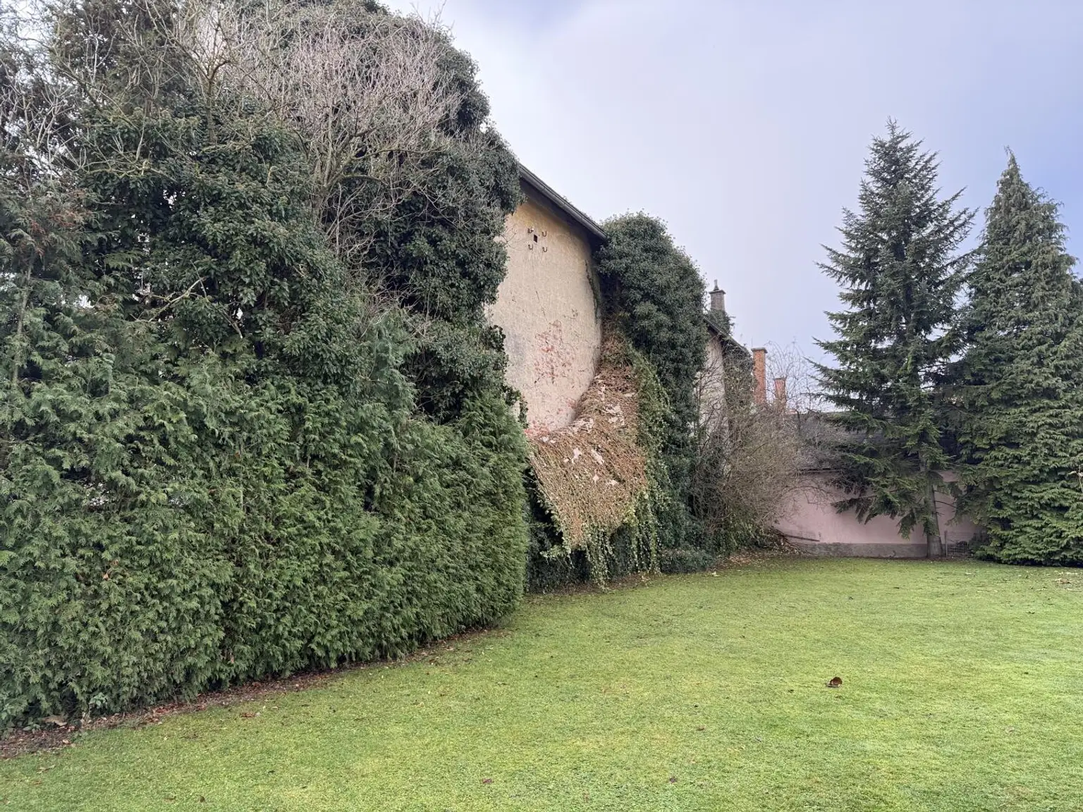 20251114_101419240_iOS