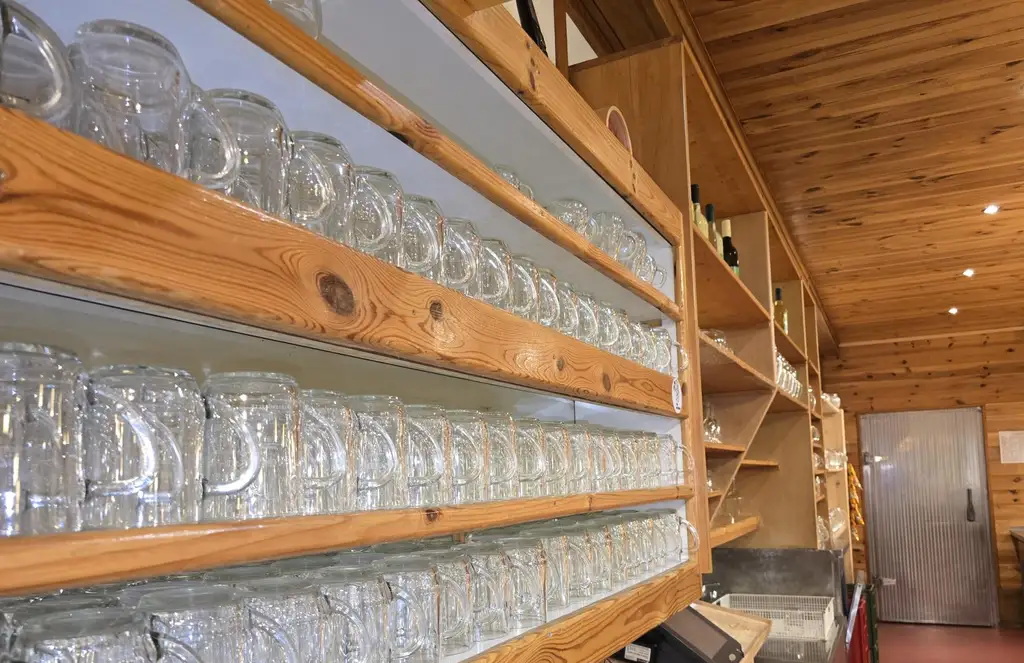 Großes Haus für Visionäre in Aussichtslage (Buschenschank, Weingärten)