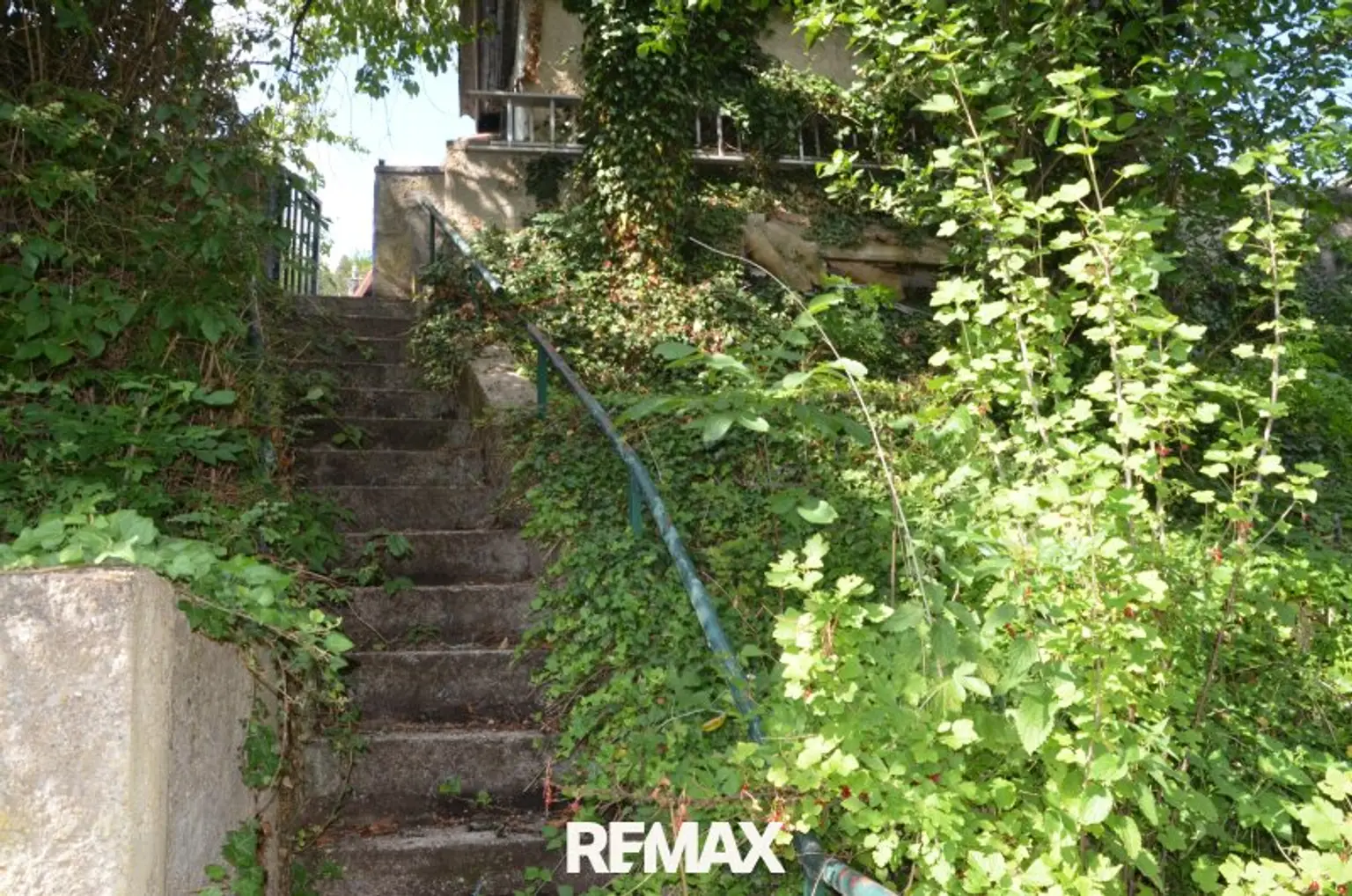 Garten Rückseite 4