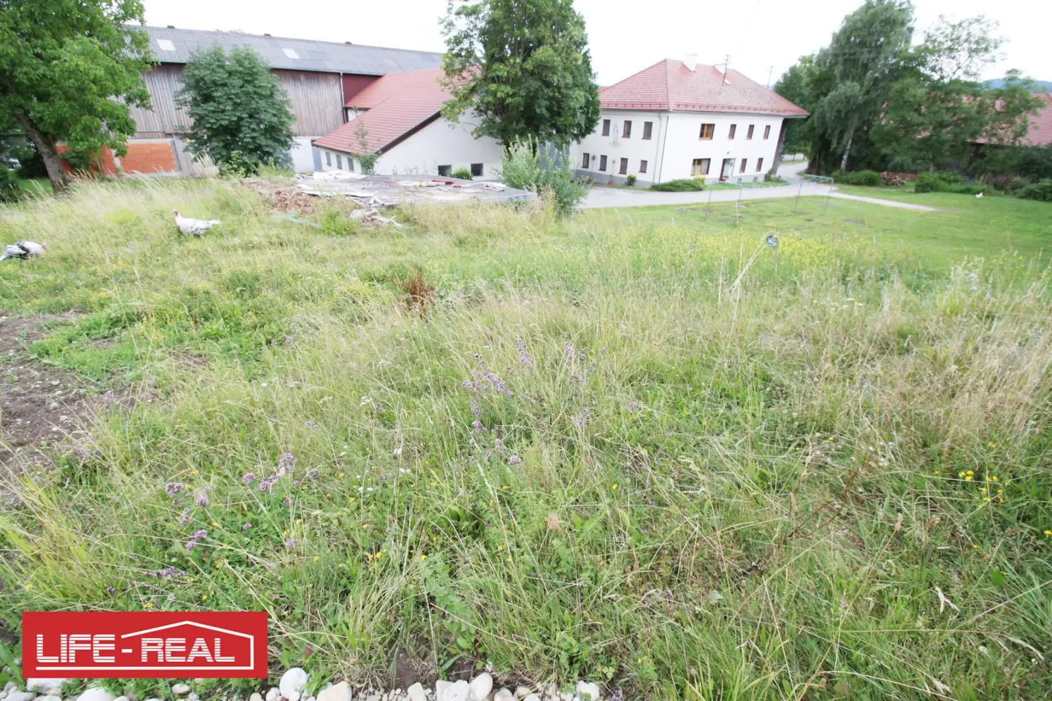 Großzügiges Baugrundstück in ruhiger Dorflage – voll erschlossen & ohne Bauzwang