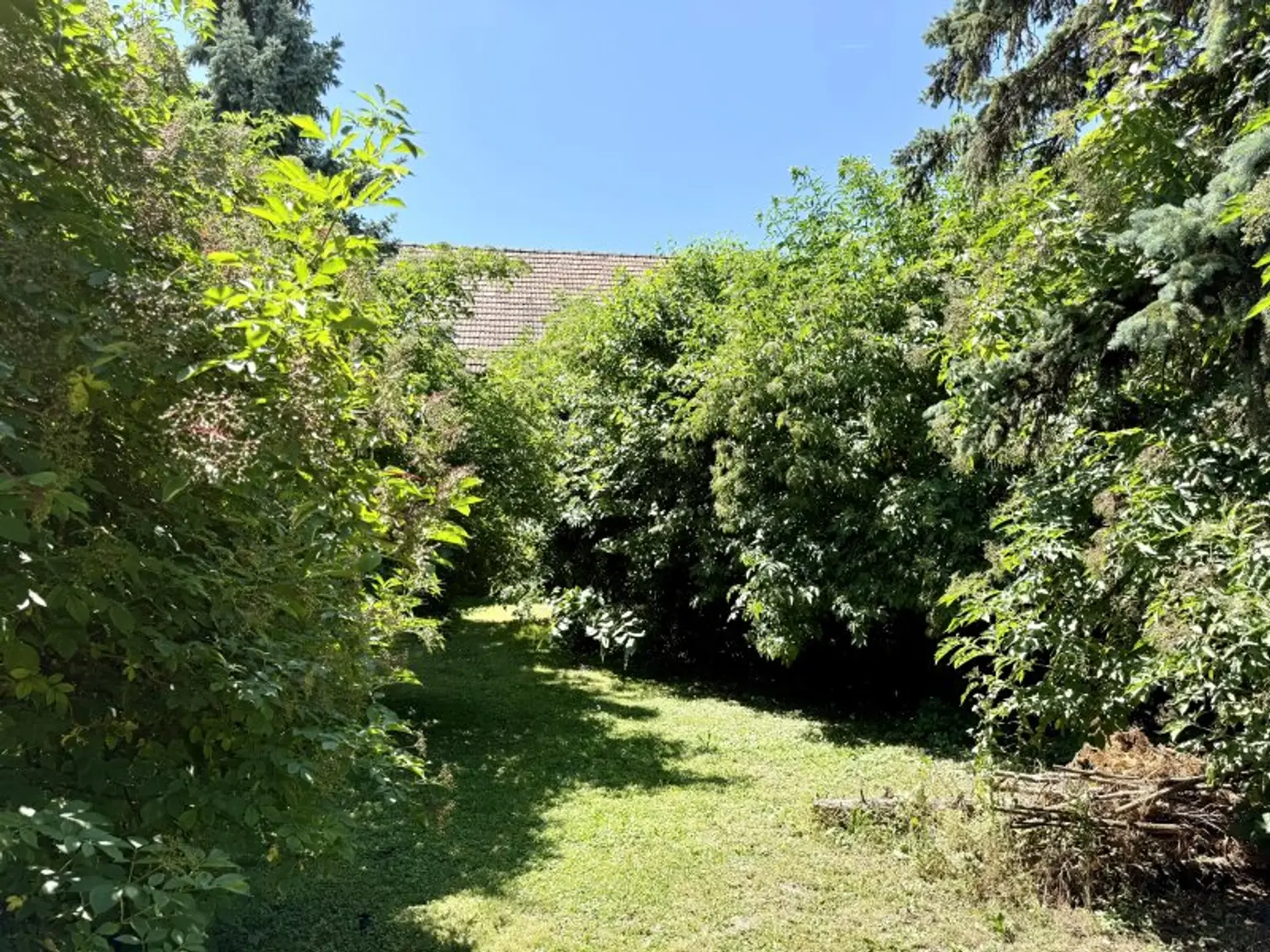 idyllischer verträumter Garten - kein vis-a-vis - einzigartiger Baugrund - 578 m² - Nähe Therme Oberlaa