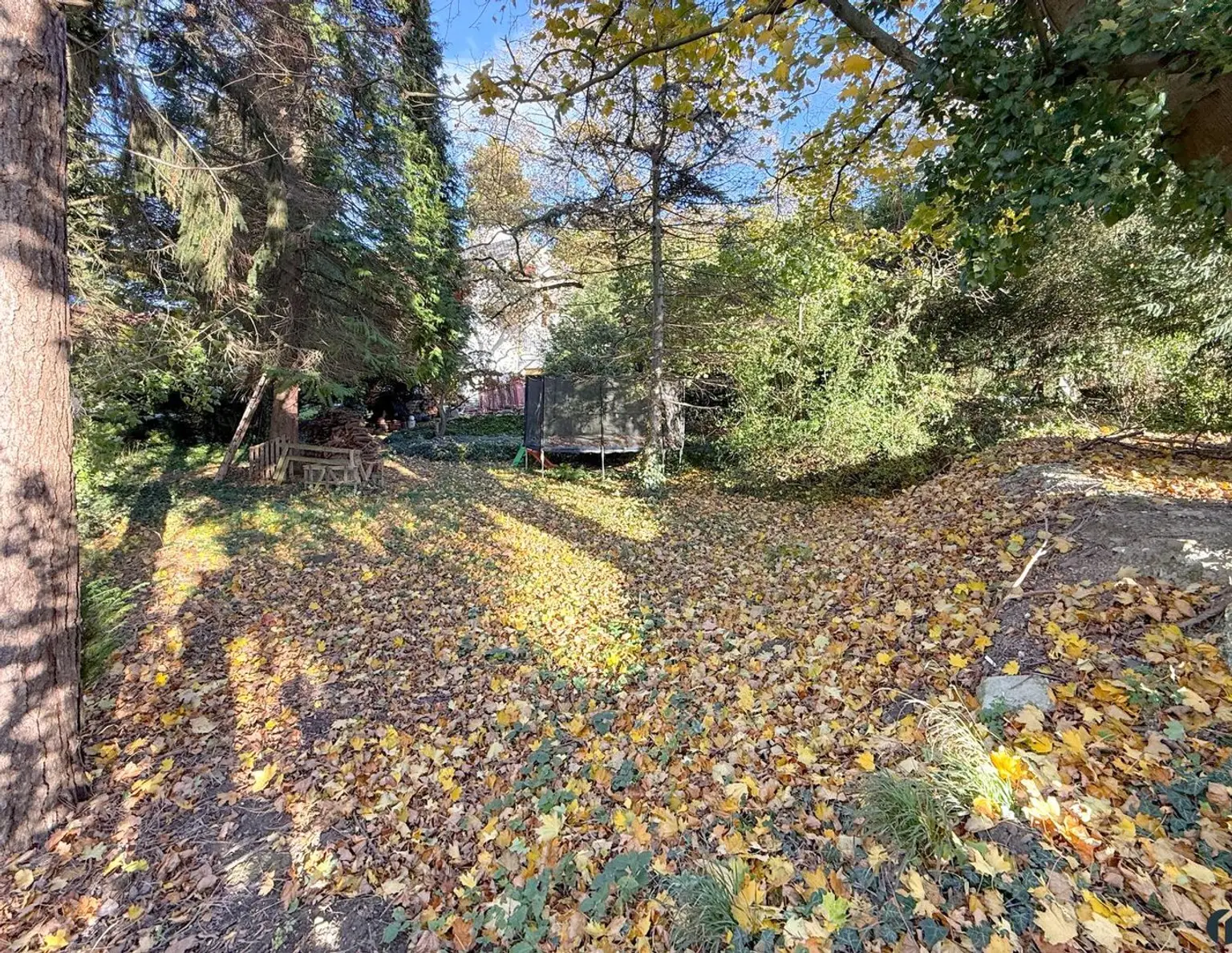 Attraktives Baugrundstück in Altenberg bei St. Andrä-Wördern
