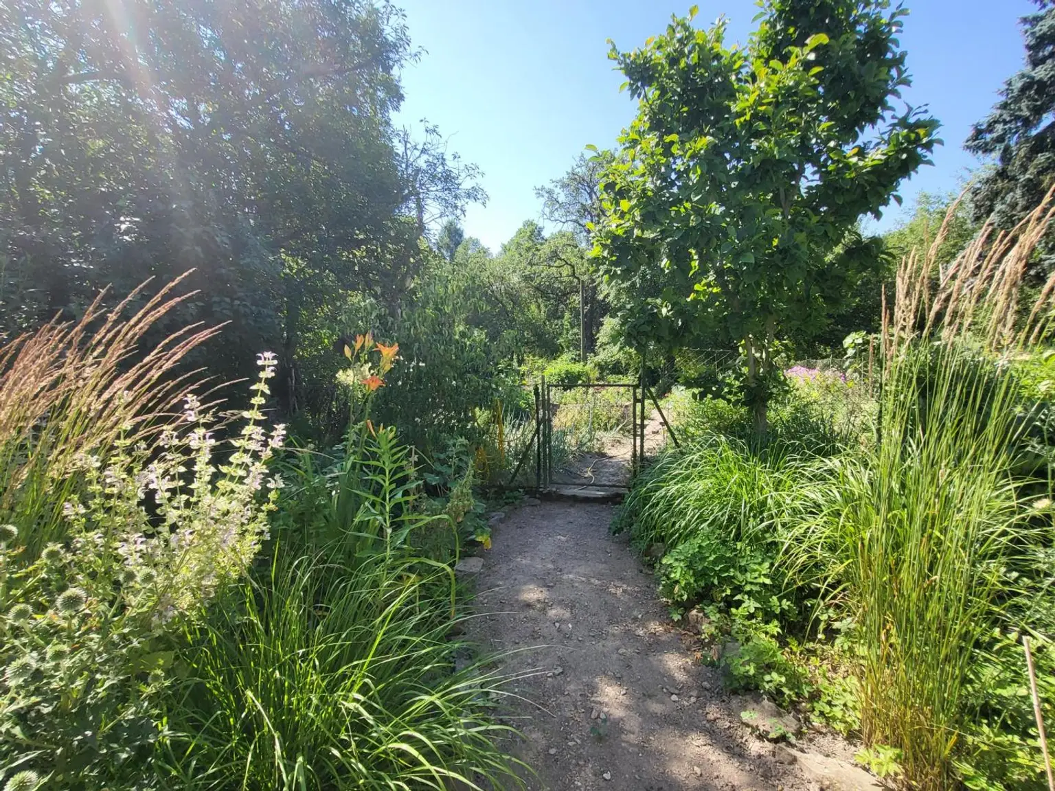 Kräuter, Gemüse u. Obstgarten (6)