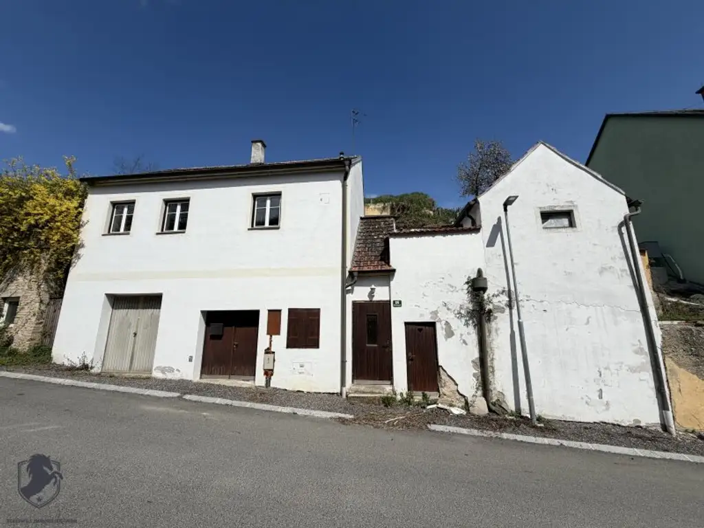 Charmantes Presshaus mit historischem Weinkeller & Entwicklungspotenzial – seltene Gelegenheit!