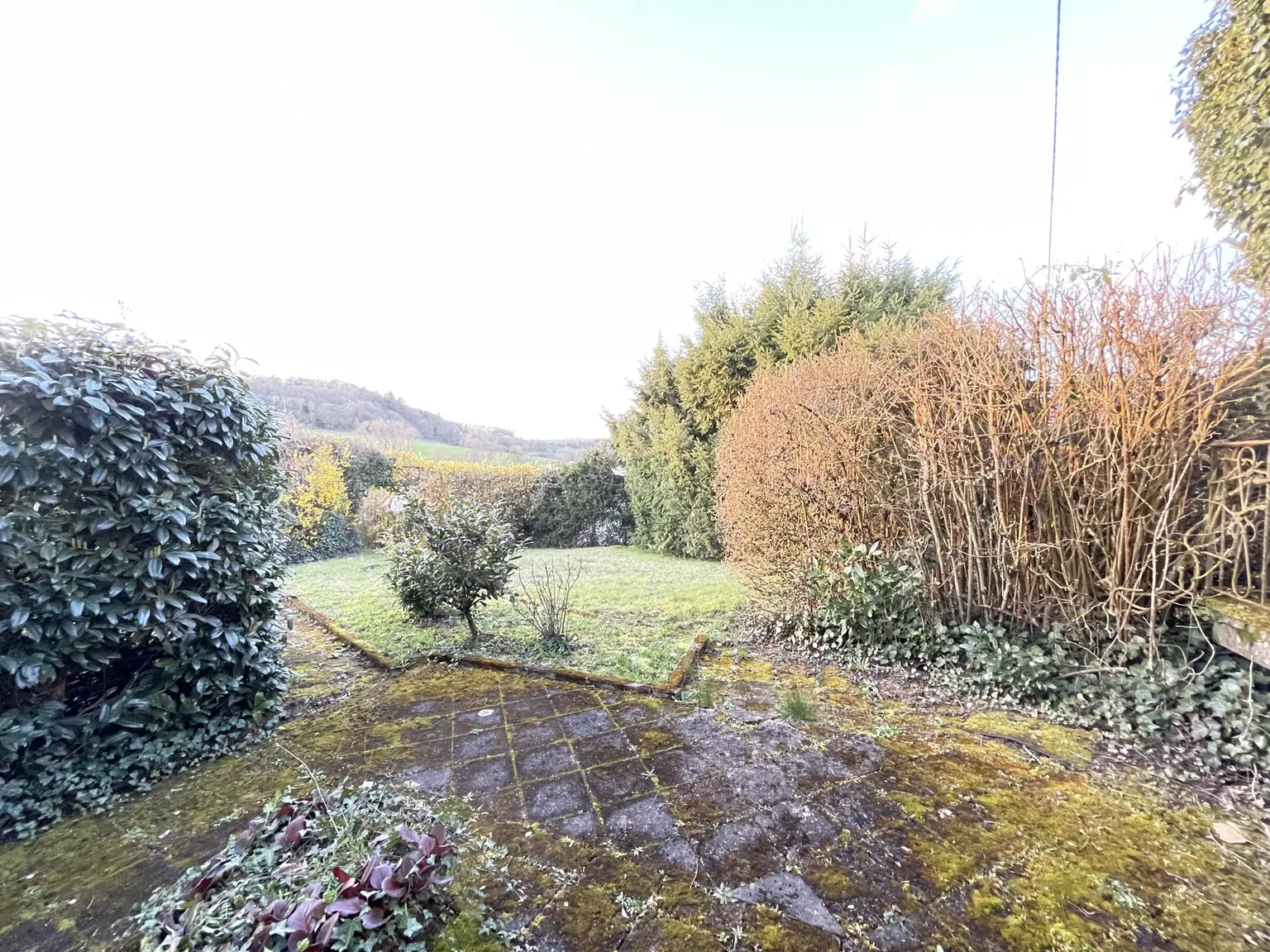 Teilansicht Grundstück