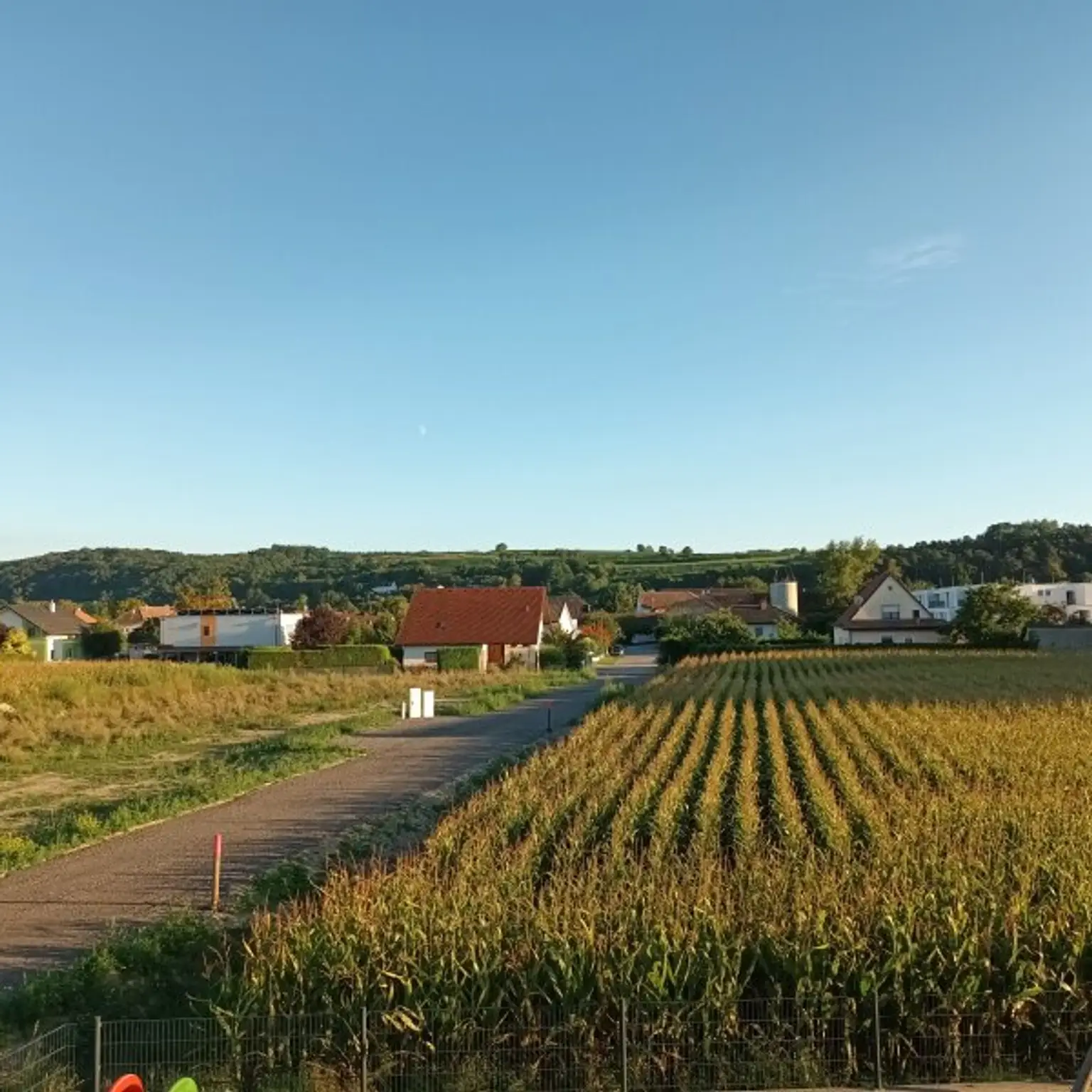 Traumhafte Eckwohnung in Traismauer, NÖ - 3 Zimmer und Balkon mit Grünblick!