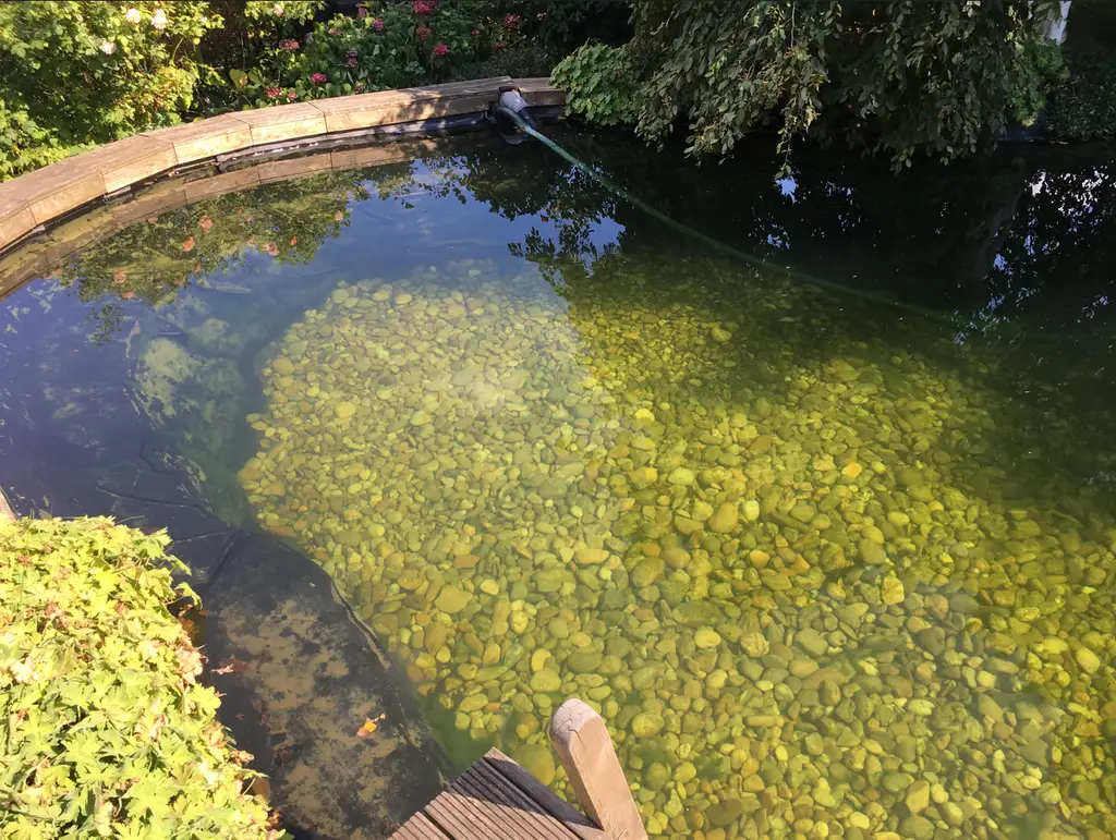 FAMILIENDOMIZIL MIT SCHWIMMTEICH