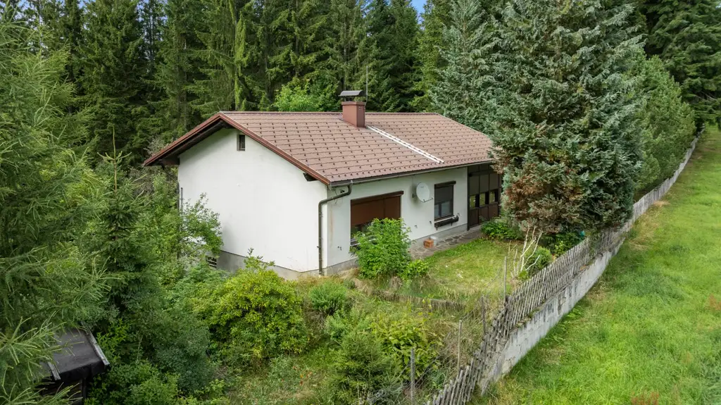 Alleinlage trifft Lebensqualität: Gemütliches Haus mit großem Grundstück inmitten der Natur
