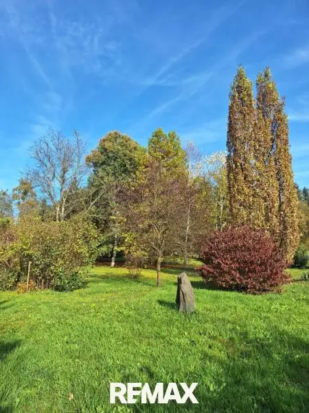 Park