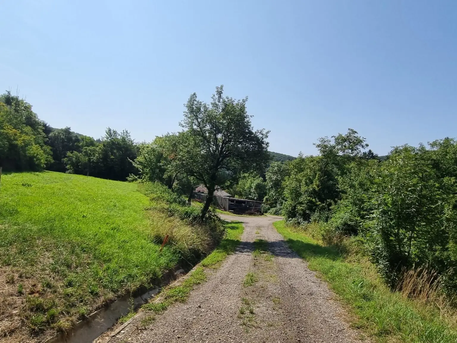 LANDWIRTSCHAFT VOR DEN TOREN WIENS