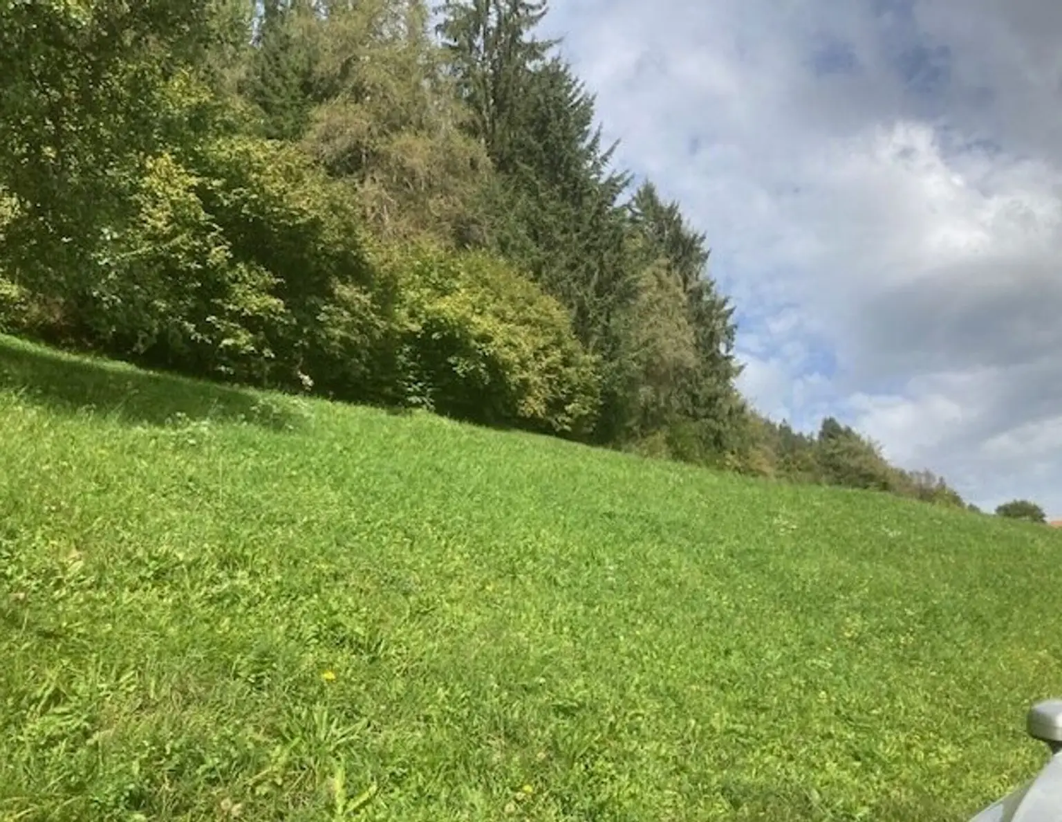 Landwirtschaftliche Grundstücke mit zwei Bauplätzen - ohne Altbestand