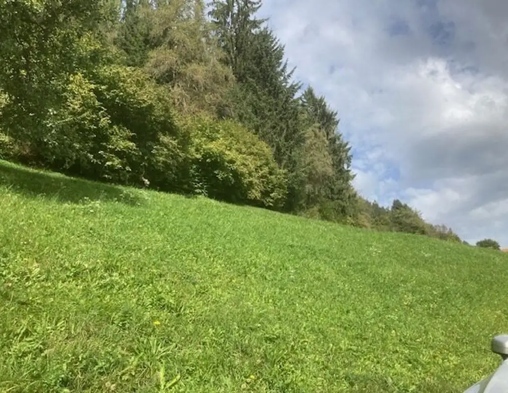 Landwirtschaftliche Grundstücke mit zwei Bauplätzen - ohne Altbestand