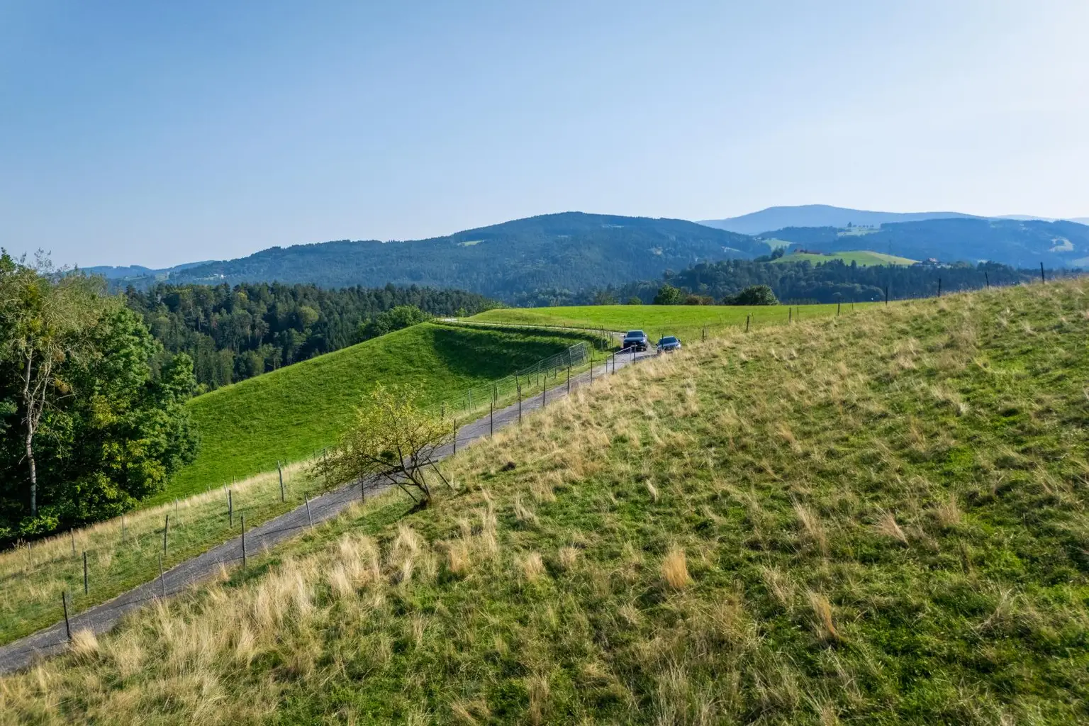 Landhaus mit Scheibengrundstück 23 Minuten vor Graz!